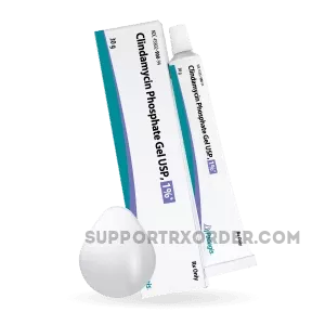 購入_Clindamycin Gel_オンライン